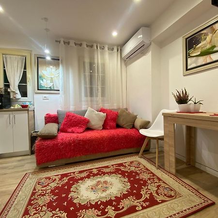 Central Welcoming Apartment In 티라나 외부 사진