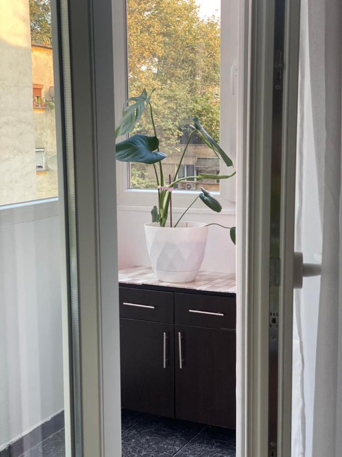 Central Welcoming Apartment In 티라나 외부 사진