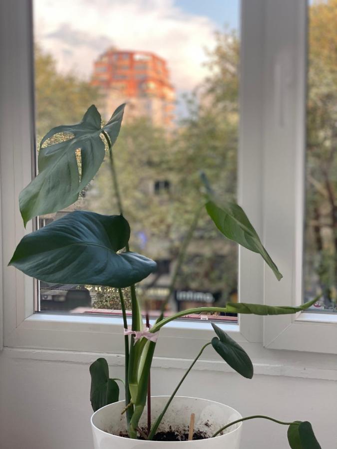 Central Welcoming Apartment In 티라나 외부 사진