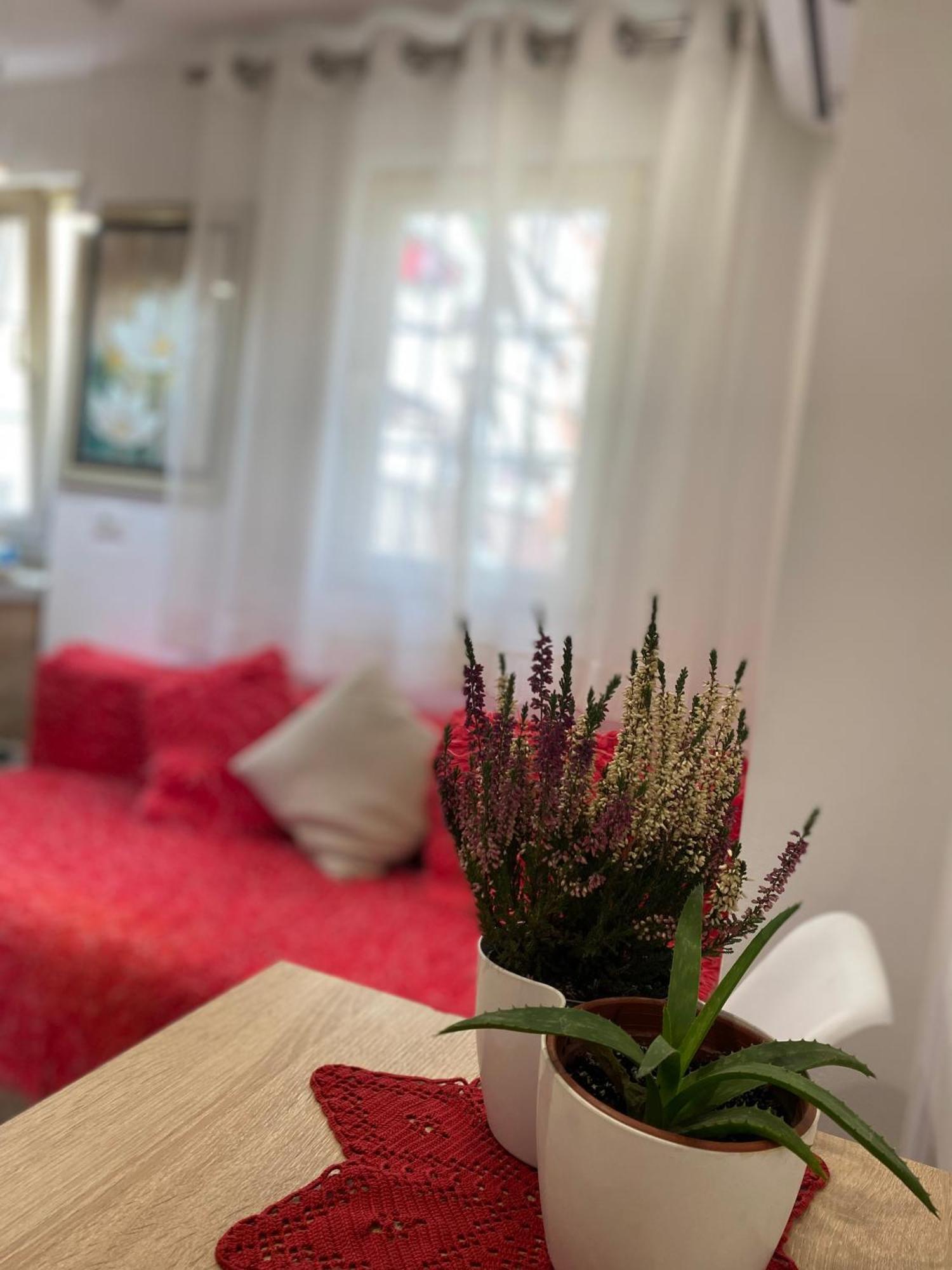 Central Welcoming Apartment In 티라나 외부 사진